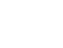 light logo